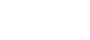 logo profnes